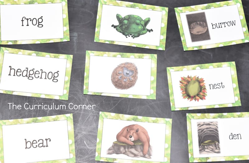 Hibernation Materials for Teachers - The Curriculum Corner 4-5-6