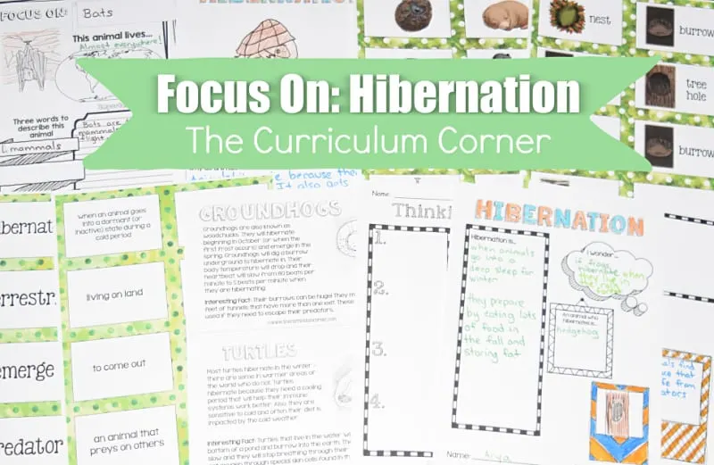 These free hibernation materials have been created to help teachers work with their fourth and fifth grade science students.
