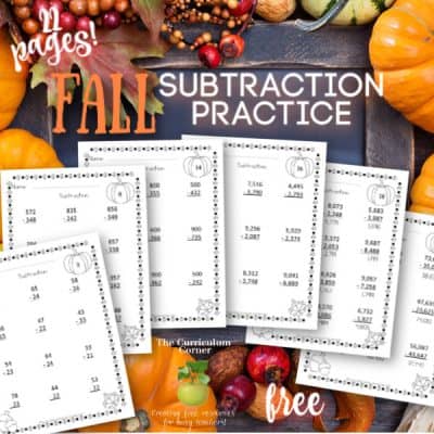 Computation Pages: Fall Subtraction