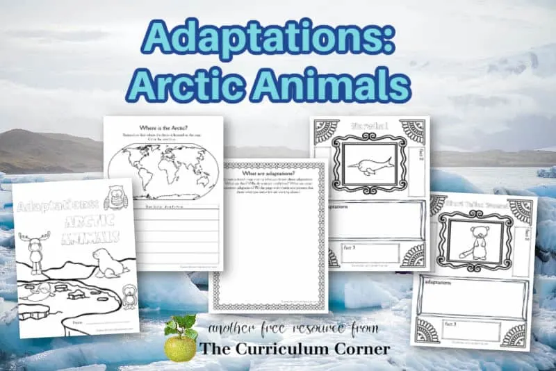 Adaptations: Arctic Animals - The Curriculum Corner 4-5-6