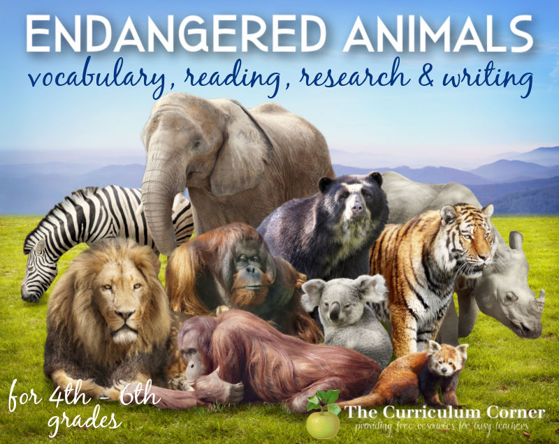These free literacy centers are designed to help your students read and write about endangered animals around the world.