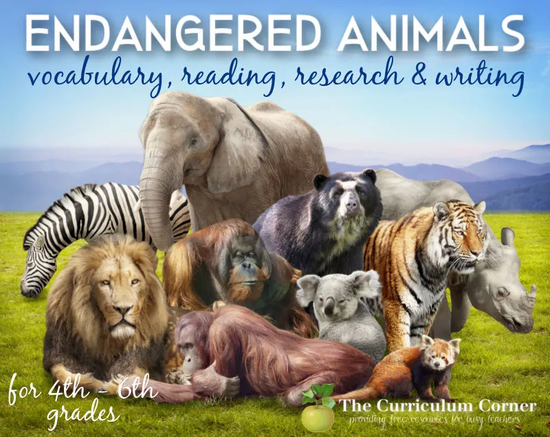 Literacy Centers: Endangered Animals - The Curriculum Corner 4-5-6 Literacy Centers: Endangered Animals - The Curriculum Corner 4-5-6