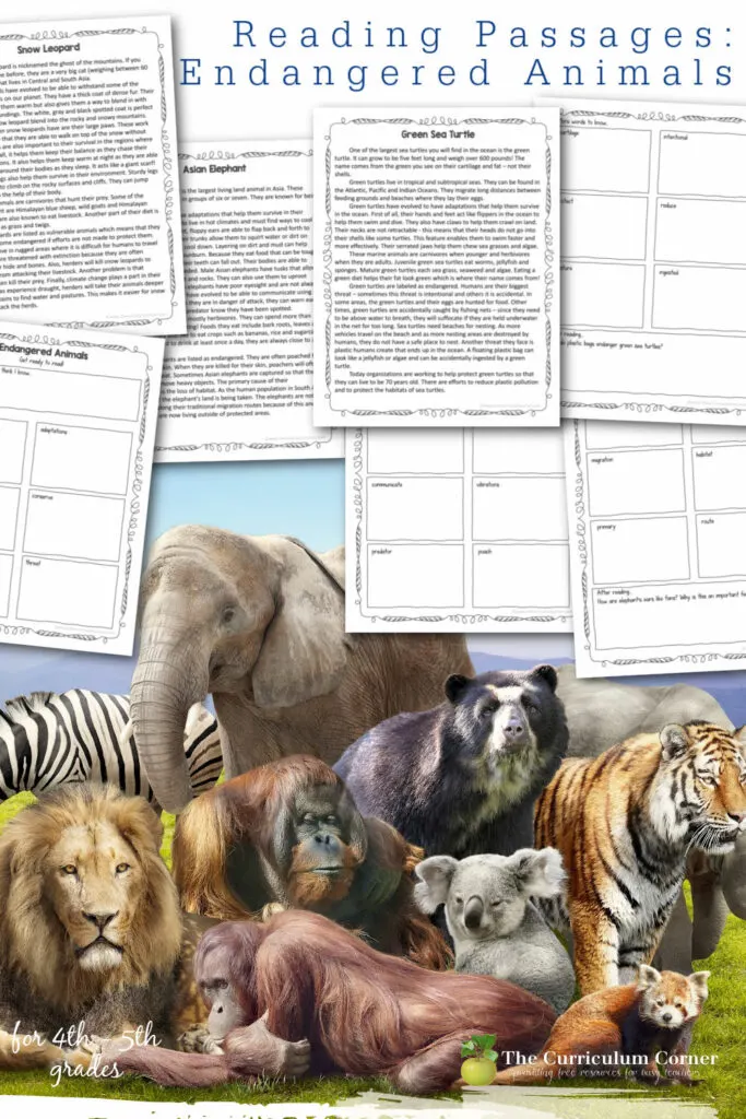 These endangered animals passages are designed to help your students with reading informational text and understanding vocabulary.