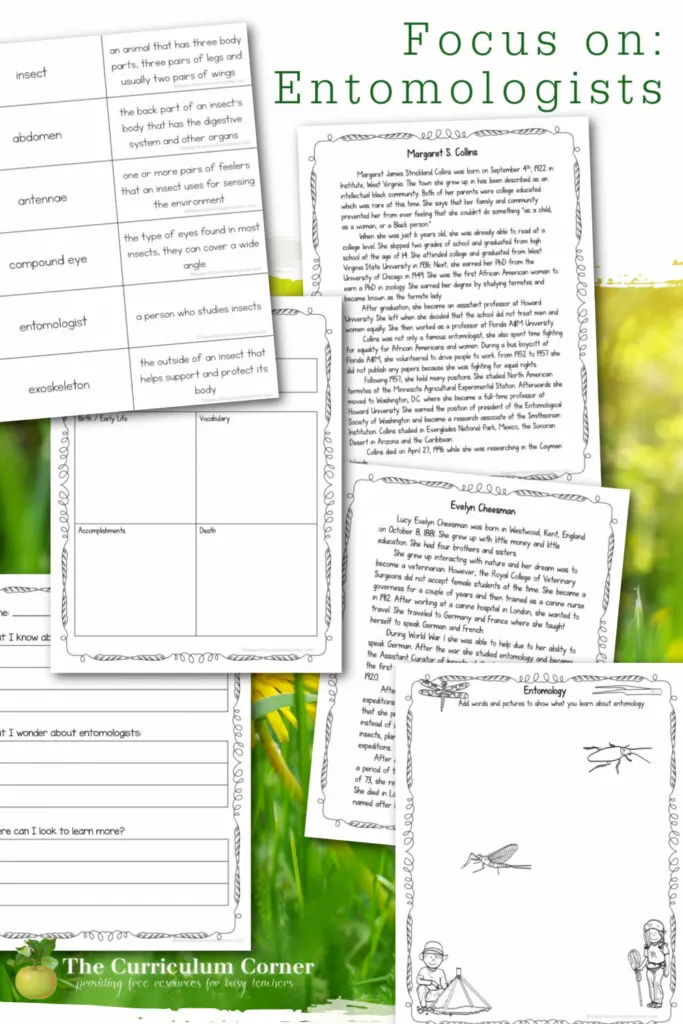 Help your students learn about entomologists with this collection of reading and vocabulary materials. 