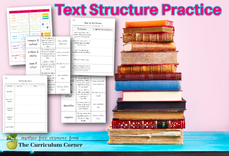 Provide students with text structure practice using these anchor charts and organizers.