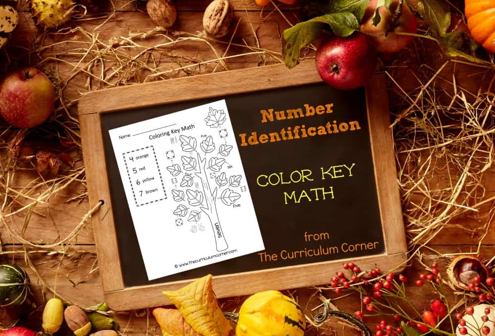 FREE Color Key Math | Number Identification | Kindergarten | The Curriculum Corner | Fall Color by Number