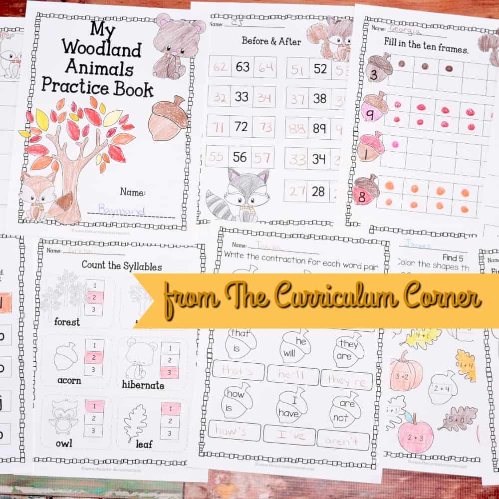 FREE Woodland Animals Print & Go Practice Pages for Math & Literacy from The Curriculum Corner 3