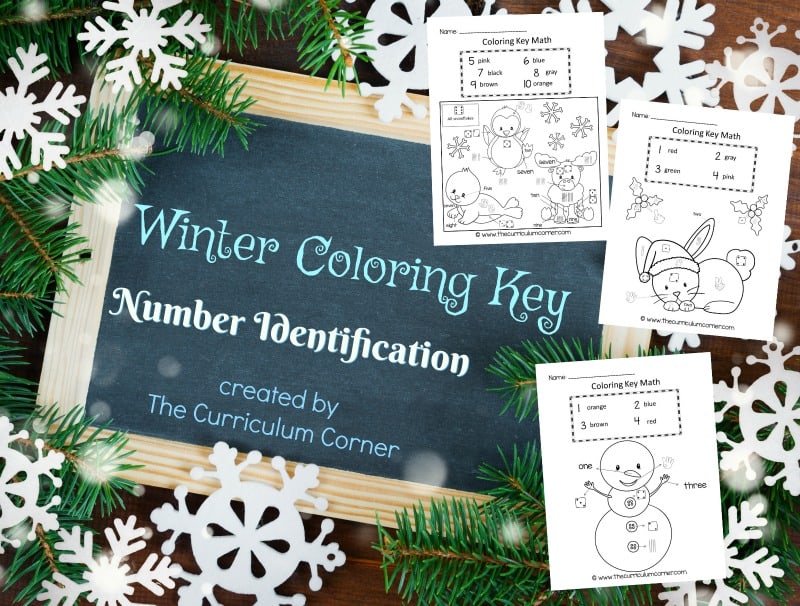 Help students practice number ID with this free winter number identification color key set. 
