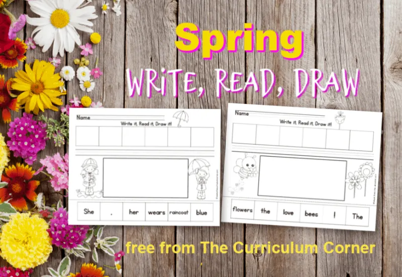 These Read, Write & Draw spring scrambled sentences are designed to fit into your springtime curriculum for early readers.