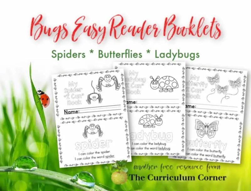 Bugs Easy Reader Booklets