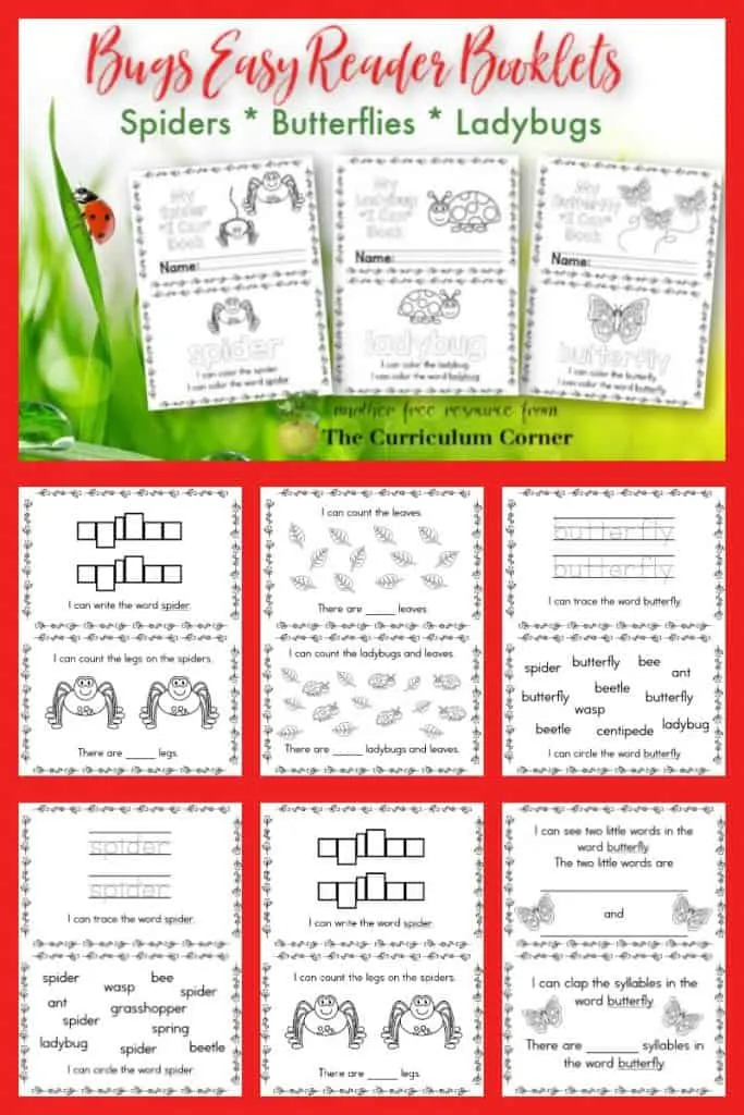 Free Bugs Easy Reader Booklets