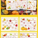 Fall Roll and Cover