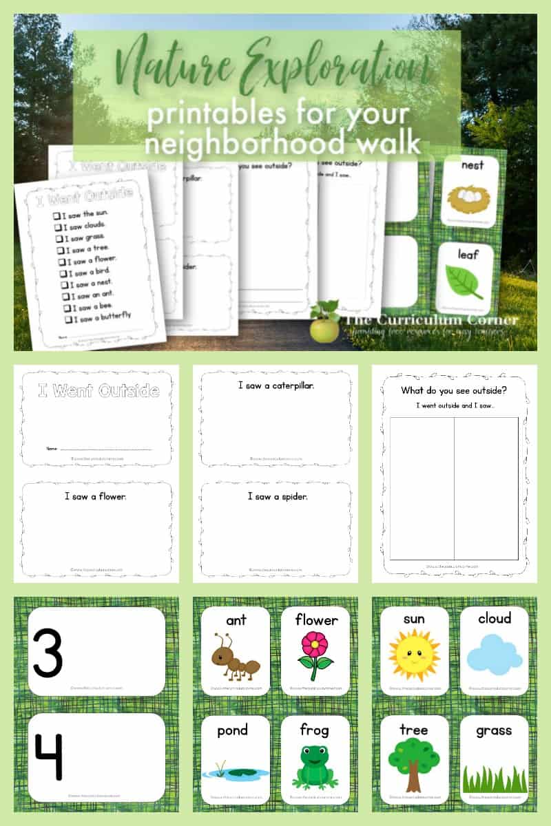 Nature Exploration The Kinder Corner