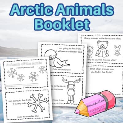 Kinder Arctic Learning Print &amp; Go Pages - The Kinder Corner