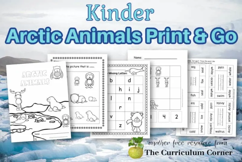 Arctic Animal Picture-Word Cards - PreKinders